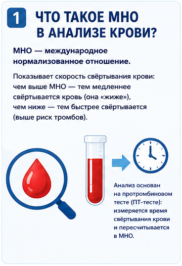 что такое мно в анализе крови.png